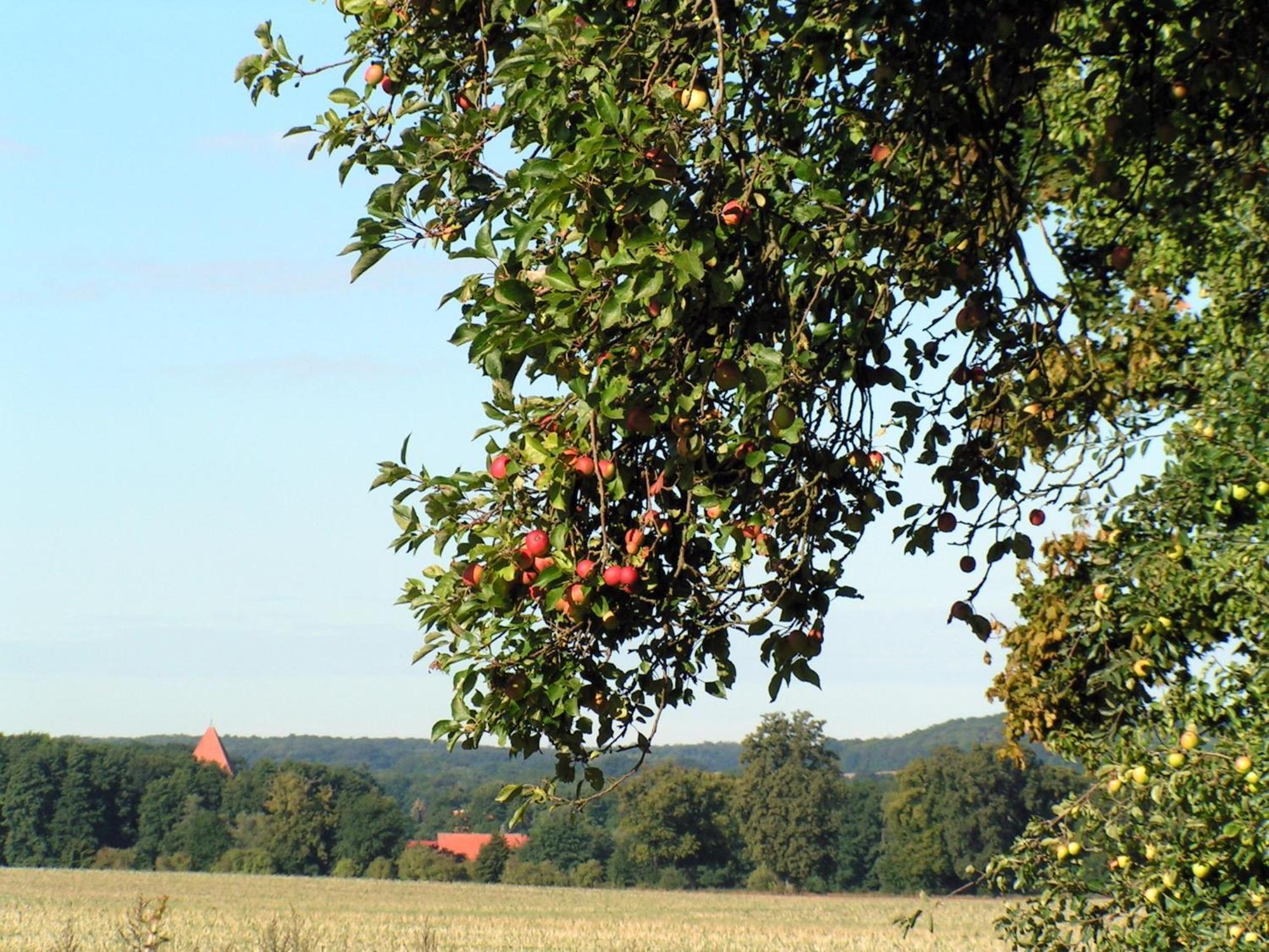 Hof Sorgenlos Gross Gievitz Экстерьер фото