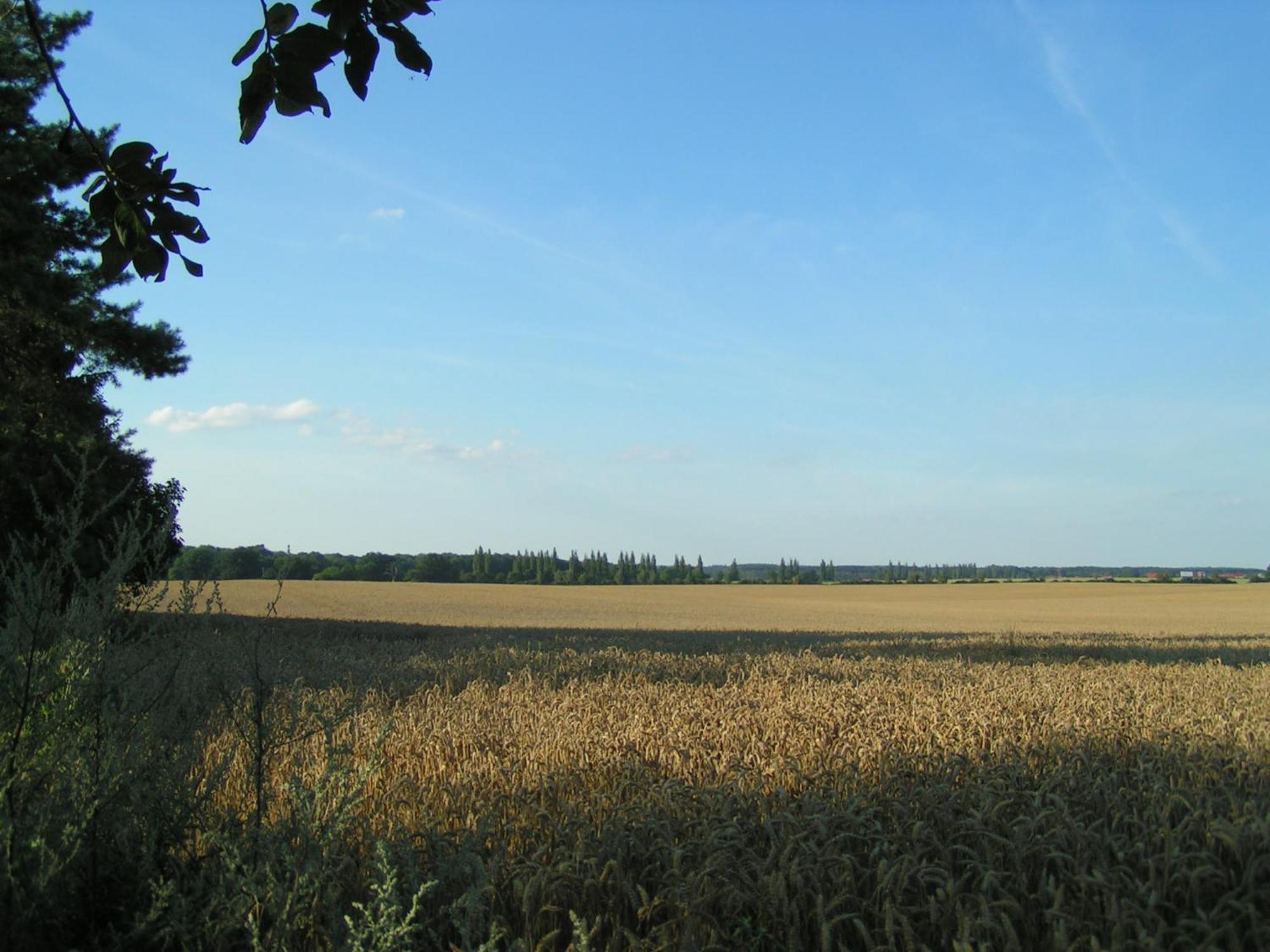 Hof Sorgenlos Gross Gievitz Номер фото